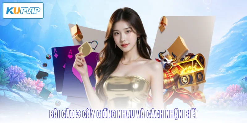 Bài cào 3 cây giống nhau và cách nhận biết