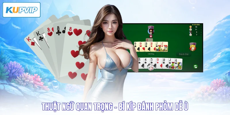 Thuật ngữ quan trọng - Bí kíp đánh phỏm dễ ù